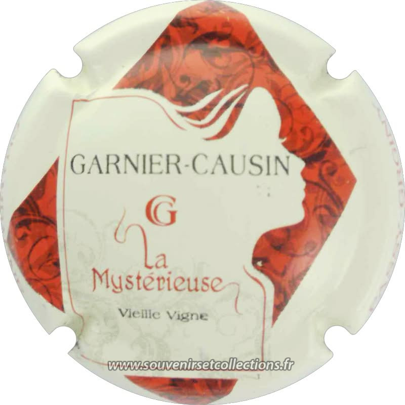 Garnier Causin