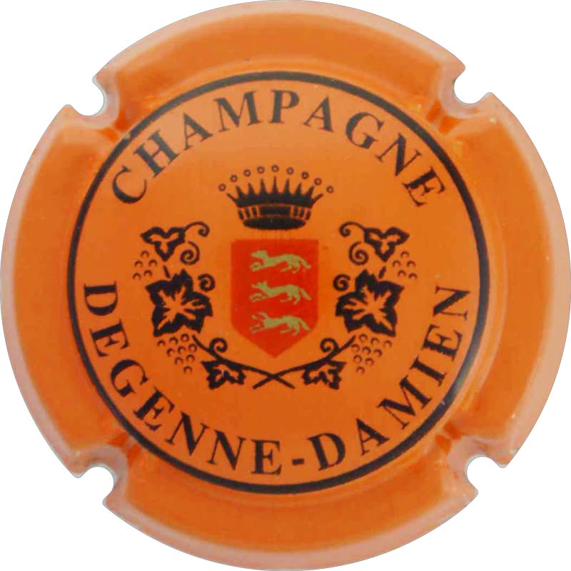 Degenne Damien