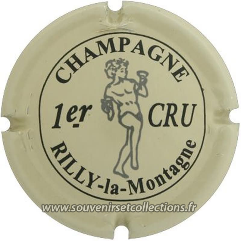 Rilly La Montagne
