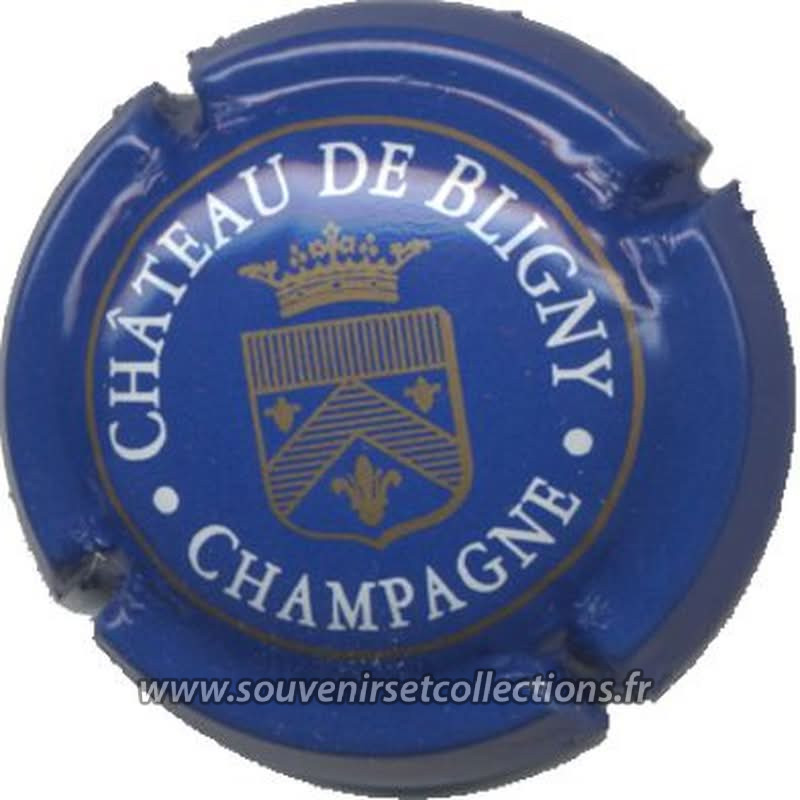 Château De Bligny
