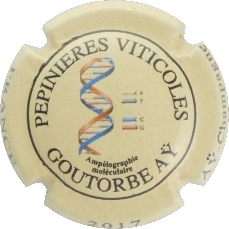 Goutorbe Henry