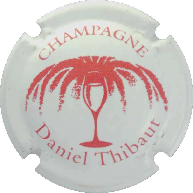 Thibaut Daniel