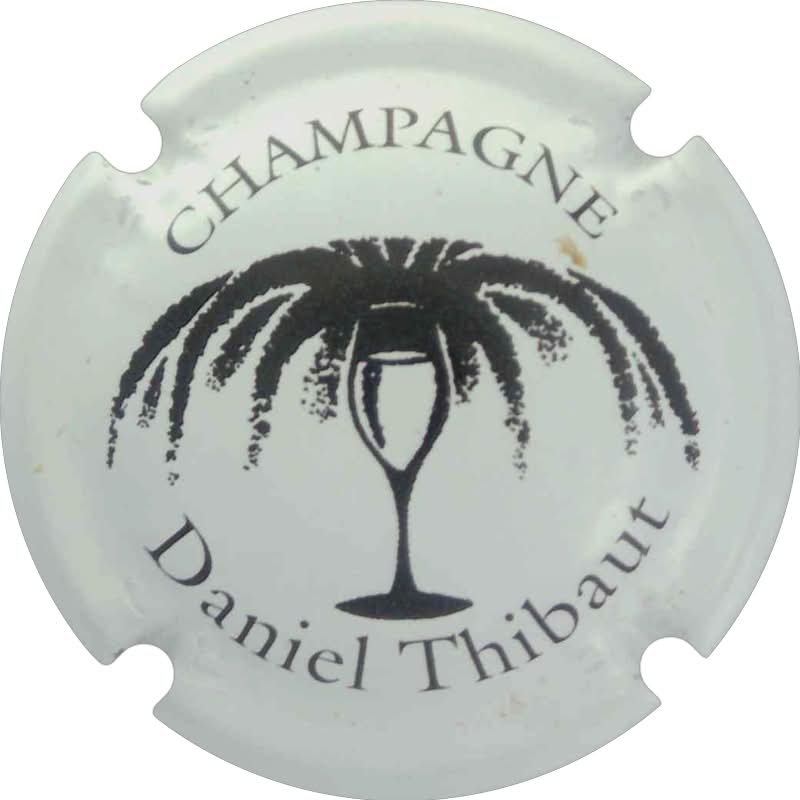 Thibaut Daniel