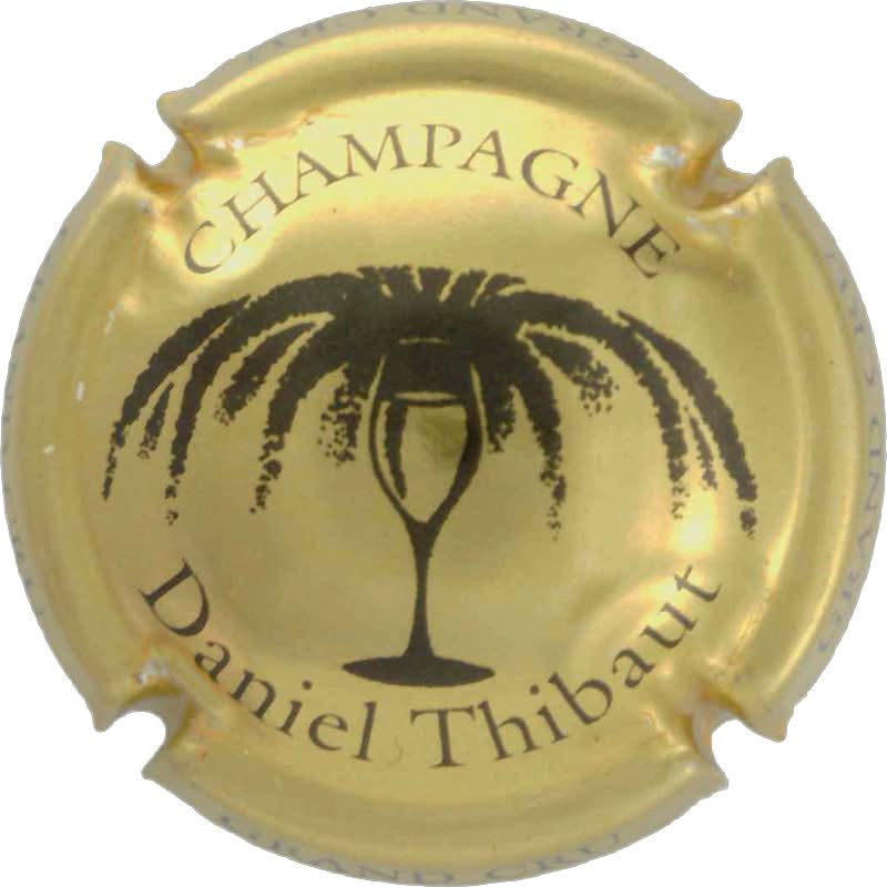 Thibaut Daniel
