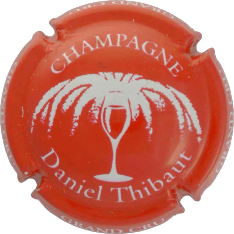 Thibaut Daniel